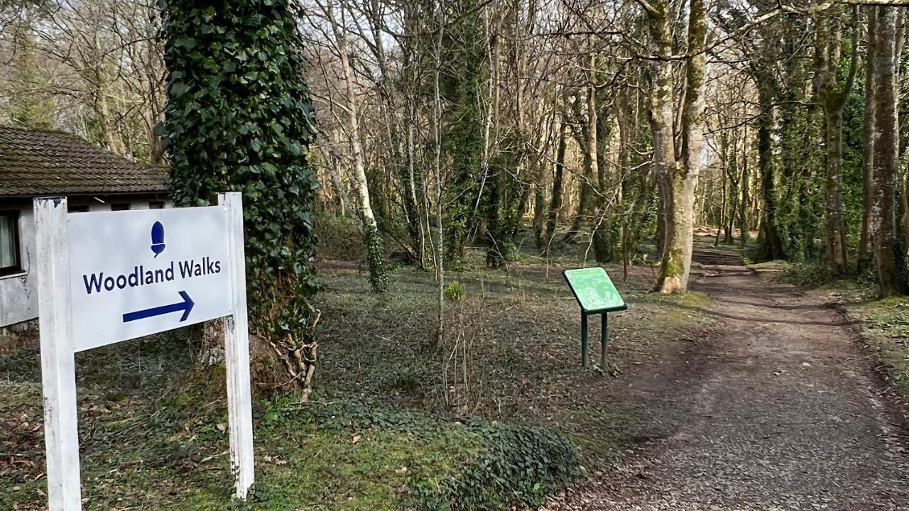 Mabel Lodge St Ives Zewnętrze zdjęcie